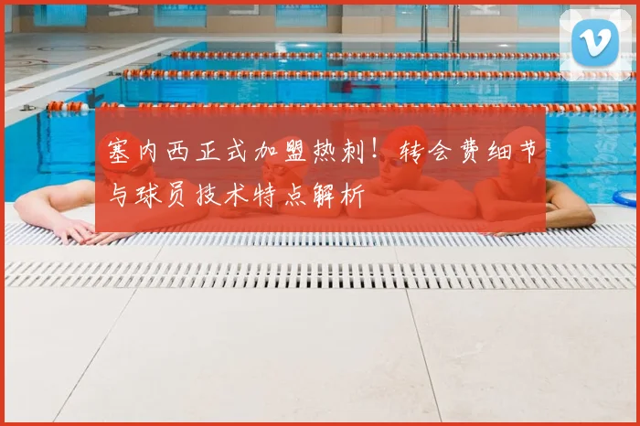 塞内西正式加盟热刺!转会费细节与球员技术特点解析